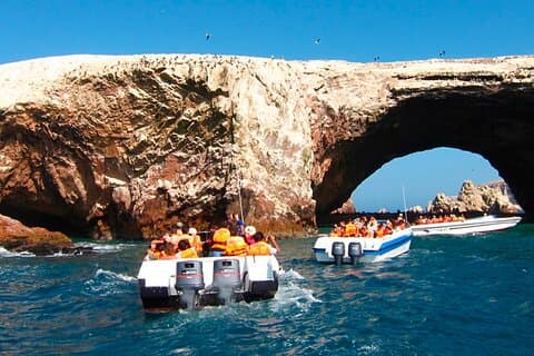 Isole Ballestas, vigneto Ica e Huacachina