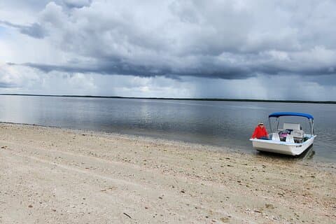 10,000 Islands Boat Tour + Naturalist Led Walk in the Everglades!
