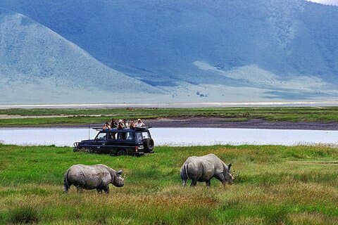 Excursão privada de 4 dias em Serengeti e Ngorongoro Mid Range