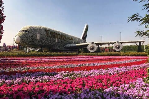Dubai Miracle Garden Biglietto d'ingresso