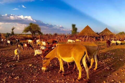 12 Days Ethiopia Tour