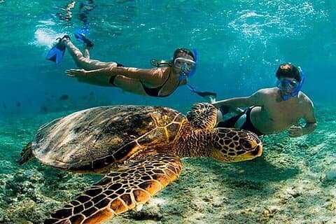 Tulum Ruins Tour with Turtle Snorkeling & Cenote