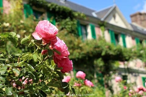 Visita la casa di Claude Monet: gita giornaliera privata a Giverny da Parigi