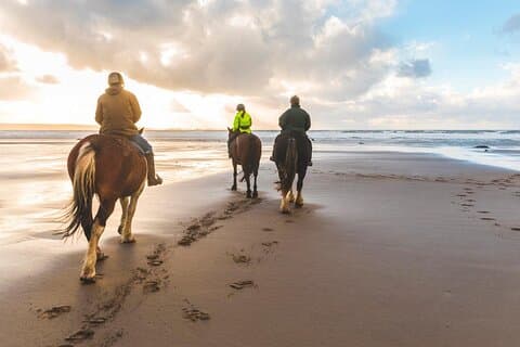 Cabalgata Por Puerto Plata
