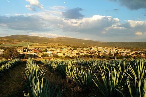 Privater Transfer von San Miguel de Allende nach Tequila mit 2 Stunden Sightseeing