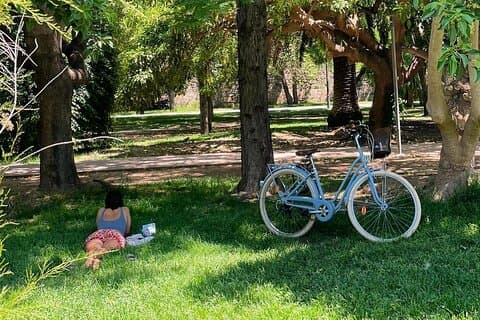 Three Parks Tour | Private Fahrt mit Fahrrad, E-Bike, E-Step oder Segway
