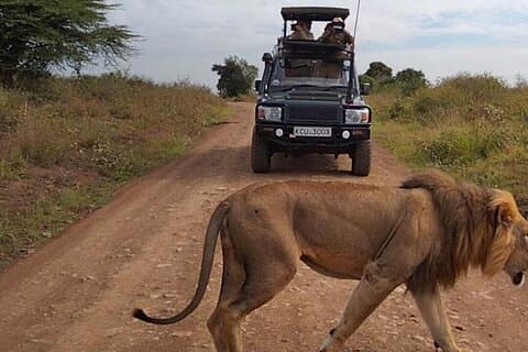 Private Tagestour durch den Nationalpark Nairobi