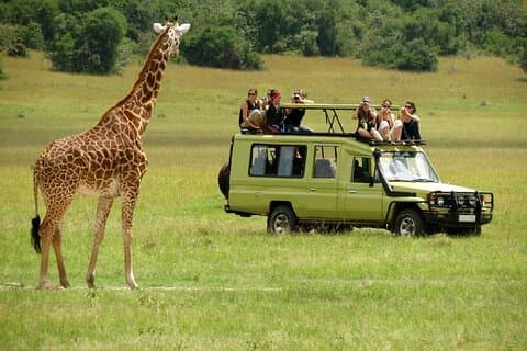 3 dagars Masai Mara Budget Camping Safari på 4X4 Land Cruiser