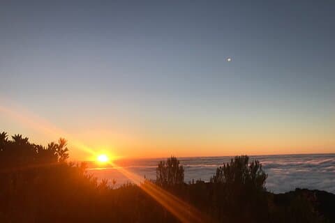 Fanal Forest Private Sunset Hike