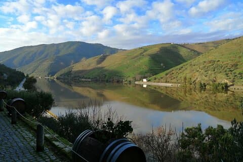 Douro Wine Route Experience, full-day from Porto