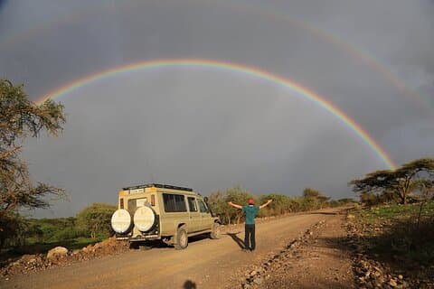 Budget Safari with a Lodge for 3 Days