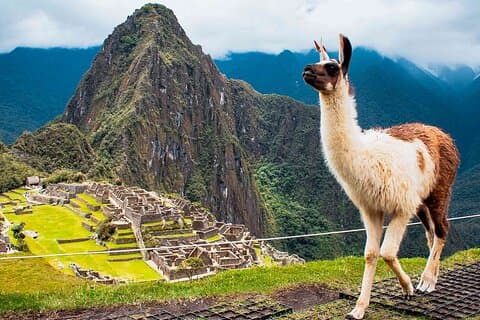 Gita di un giorno a Machu Picchu da Ollantaytambo e Urubamba