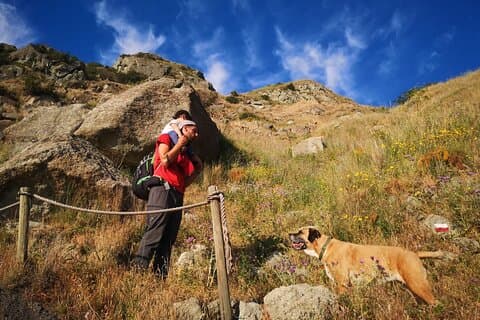 Trekking on the top of Epomeo Mont in Ischia with Local Guide