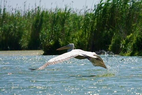 4 Days in the Heart of Danube Delta