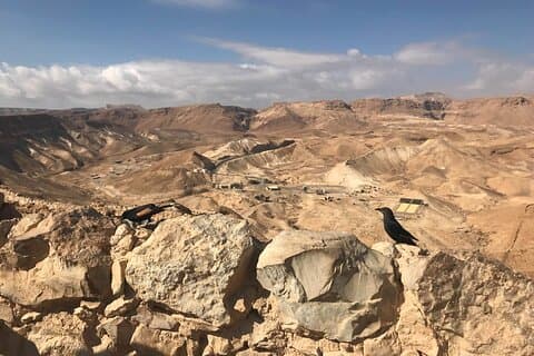 Visita de dia ao Mar Morto e Masada