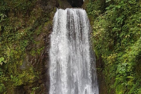 El Tigre Waterfalls Hiking Tour with Lunch and Nature Guide