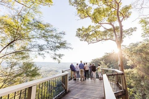 サンシャイン コースト ヒンターランドの美しい景観を満喫するグルメ体験: モントビル