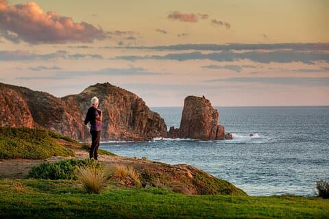 Excursion d'une journée à Phillip Island avec défilé de kangourous, de koalas et de pingouins
