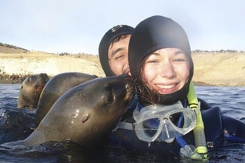 Snorkel con leones marinos y aventura con vida silvestre
