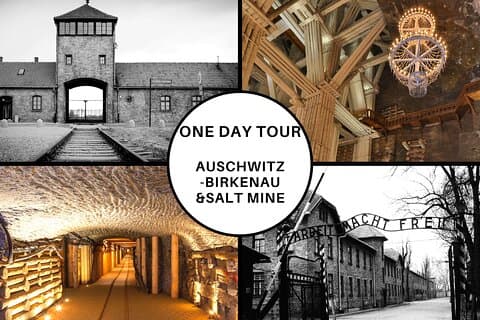 Cracóvia: Auschwitz-Birkenau e visitas guiadas às minas de sal em um dia