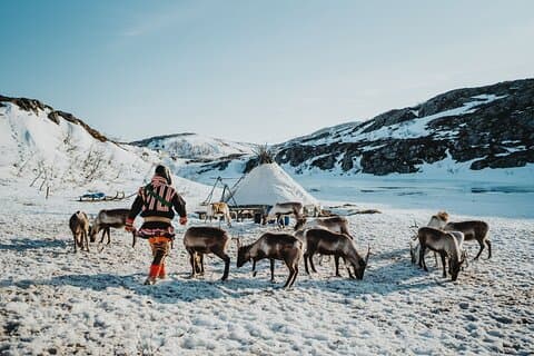 Arctic Fjords and Reindeer Experience – Small group tour