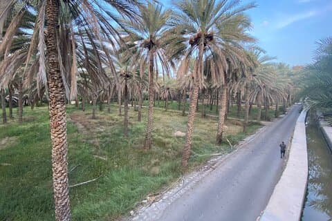 3 timers privat tur i Birkat Al Mouz