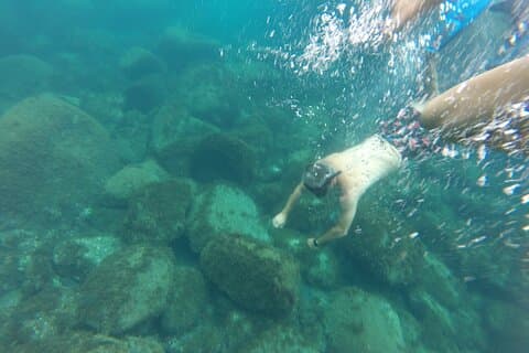 Snorkel Tour - S. Jorge