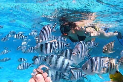 Tour privato della laguna di 2 ore di Bora Bora