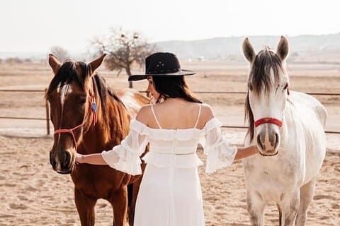 カッパドキアの乗馬で渓谷を散策—サンセット/ホテル送迎