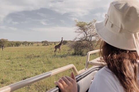 Safari de luxo de 4 dias em Masai Mara e no lago Nakuru