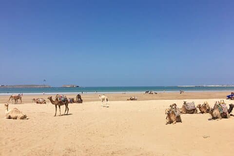 Supratours Marrakech to Essaouira Moroccan Bus Tickets