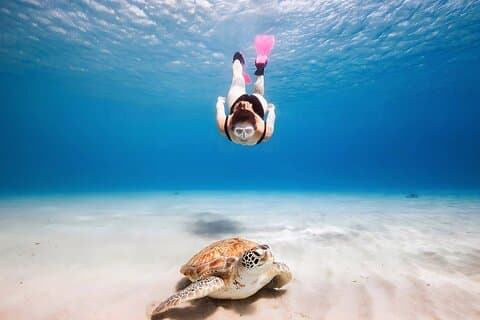 Turtle Sightseeing på Akumal & Underground Caves Tour