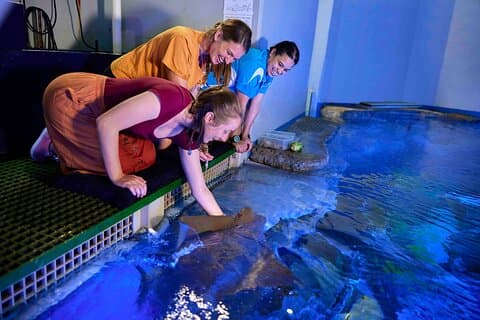 Billet pour la rencontre avec la vie marine de l'aquarium de Cairns