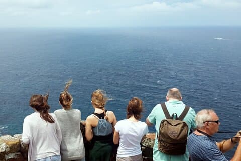 Cape Point & Pinguins: Excursão de um dia guiada à Península do Cabo.