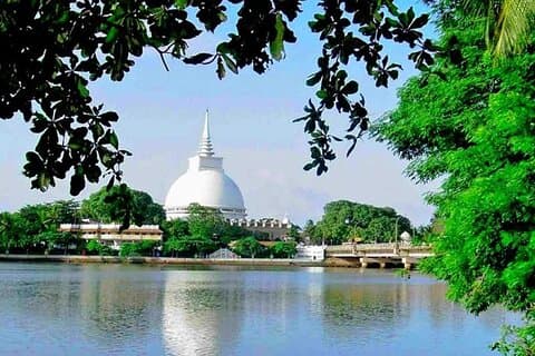 Dagsudflugter til Galle Fort & Bentota fra Negombo