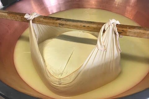 Parmigiano Cheese Factory Visit and Tasting