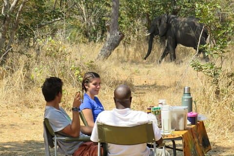 Chobe Safari Campingdagstur för övernattning