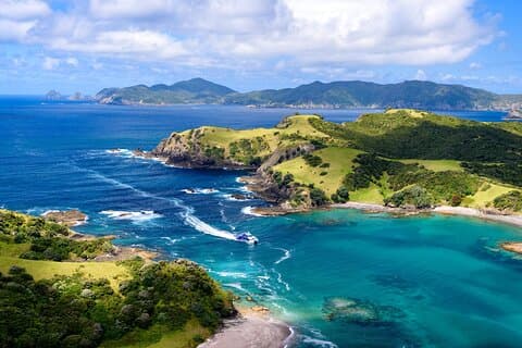 Bay of Islands Entdeckungserlebnis ab Auckland inkl. Hole-in-the-Rock-Kreuzfahrt