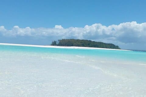 Halvdags privat guidet Mnemba Island Snorkeling Adventure