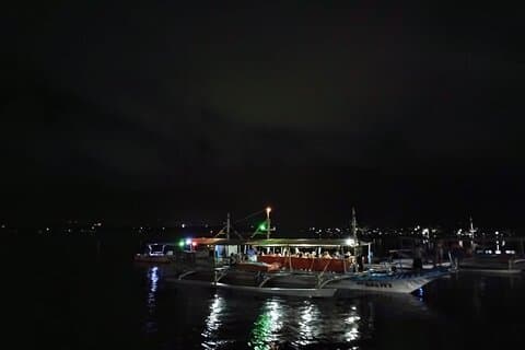 ホタル観賞ツアー