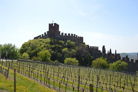 Pagus Wine Tours® - Soave und Amarone - Halbtägige Weintour