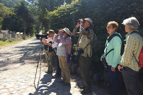Esperienza di birdwatching privato di 5 ore a San Juan La Laguna
