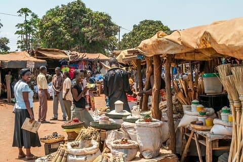 Excursión privada de medio día a la cultura exótica de Zambia