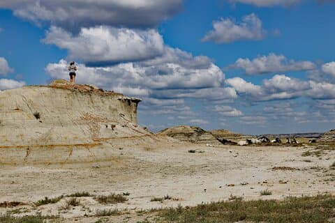 Chasing Horses Back to Nature Experience in North Dakota