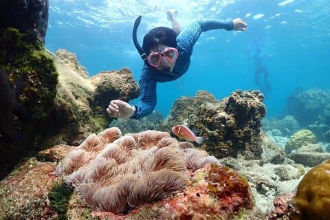 Snorkling heldagsupplevelse från Bangkok