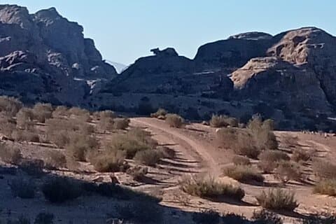 Petra Back-Road Trail en wandeling