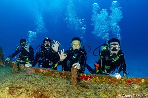 FunDiving en Cozumel - En Ferry - 2 Tanques en el maravilloso mar Caribe