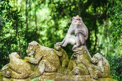 All-inclusive Ubud Bali privat heldagstur