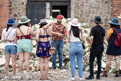 Tour Privado un día de Aventura en Tequila y Tequila Orendain