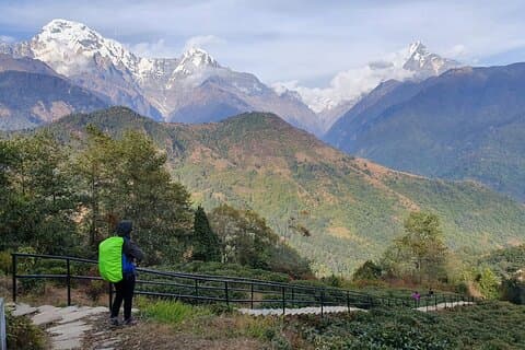 Visite des montagnes, de la faune et de la culture